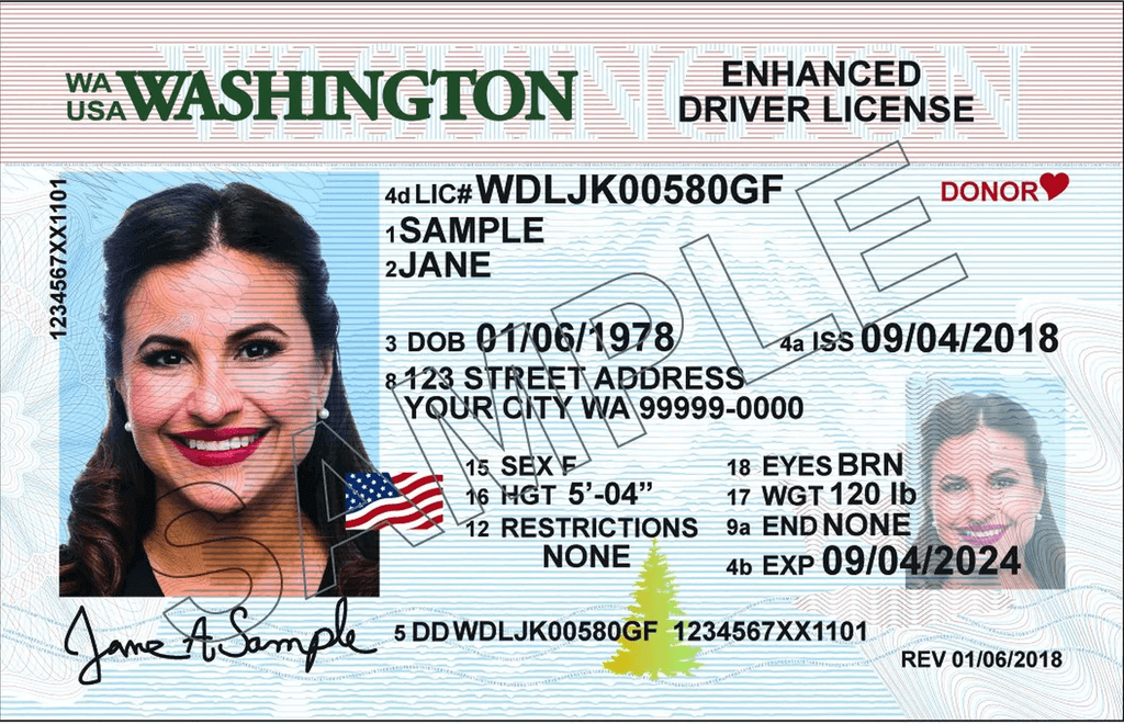 enhanced driver's license