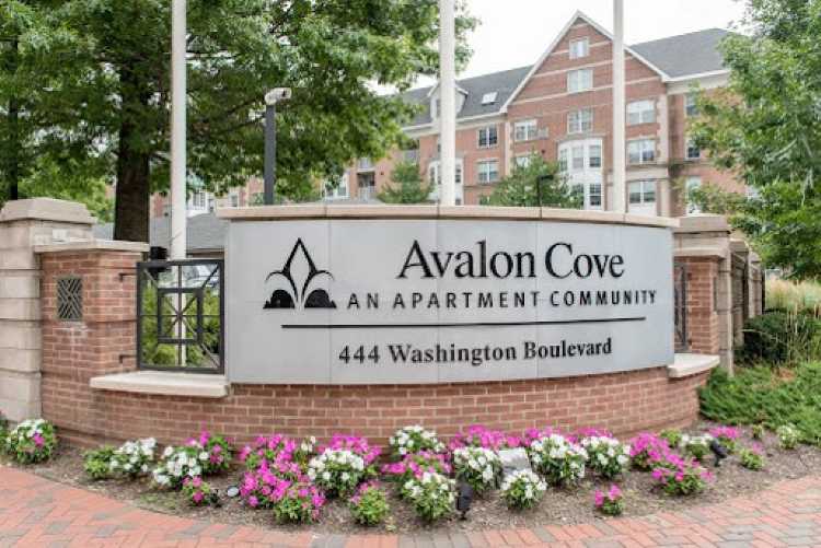 444 Washington Blvd. - Avalon Cove Lot