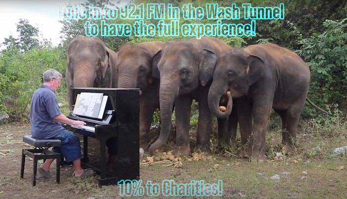 HANGRY PLANET : SHINE FOR CHARITY VR CAR WASH