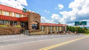 320 Greentree Dr Parking
