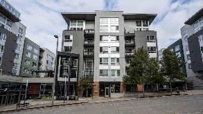 10688 NE 10th St Parking