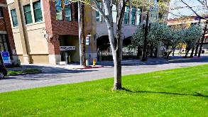 423 W 300 S - Homewood Suites Garage