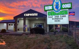 Blue Cow Car Wash