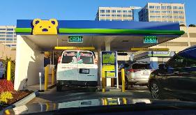 Brown Bear Car Wash