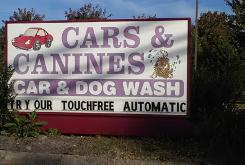 Cars & Canines